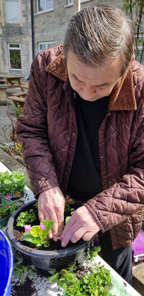 Resident potting plants in the garden